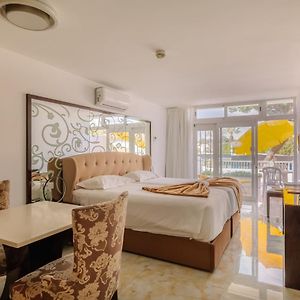 Deluxe Terrace Room Sea or Pool View
